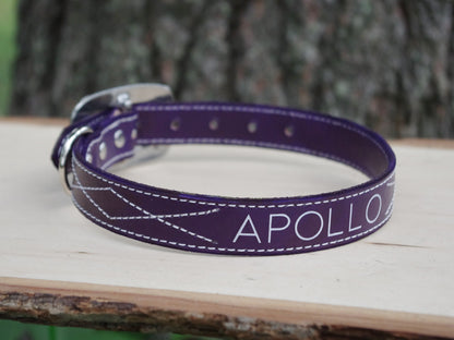 Purple Dog Collar - Custom Name