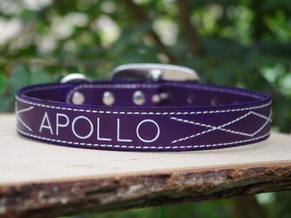 Purple Dog Collar - Custom Name