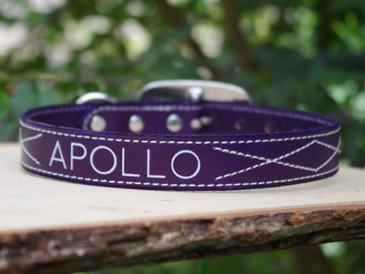 Purple Dog Collar - Custom Name