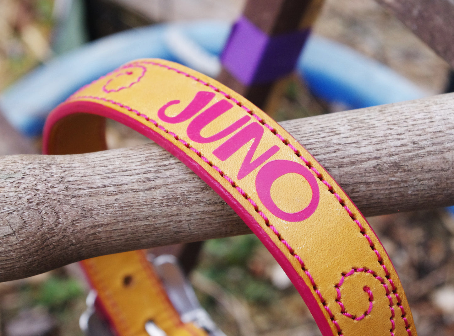 Yellow and Pink Custom Name Leather Dog Collar